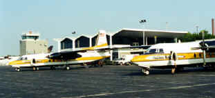 Golden Knights planes